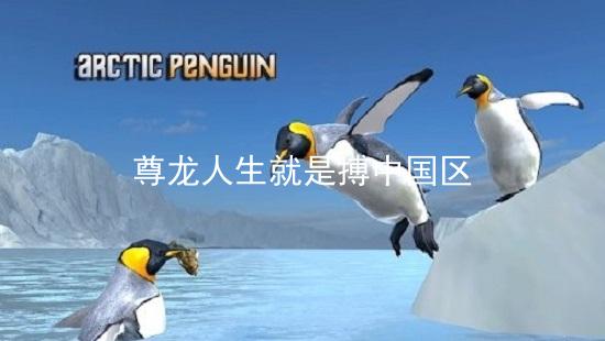 尊龙人生就是搏中国区