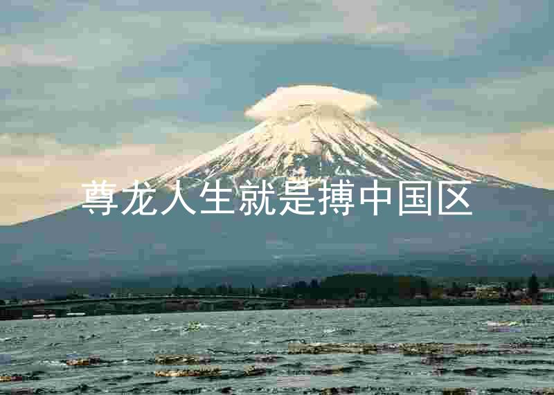 尊龙人生就是搏中国区
