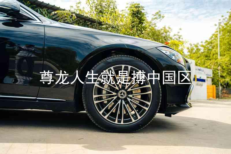 尊龙人生就是搏中国区