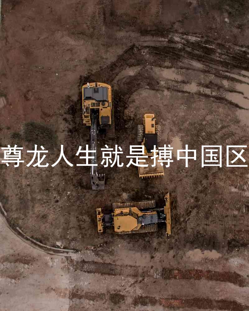 尊龙人生就是搏中国区