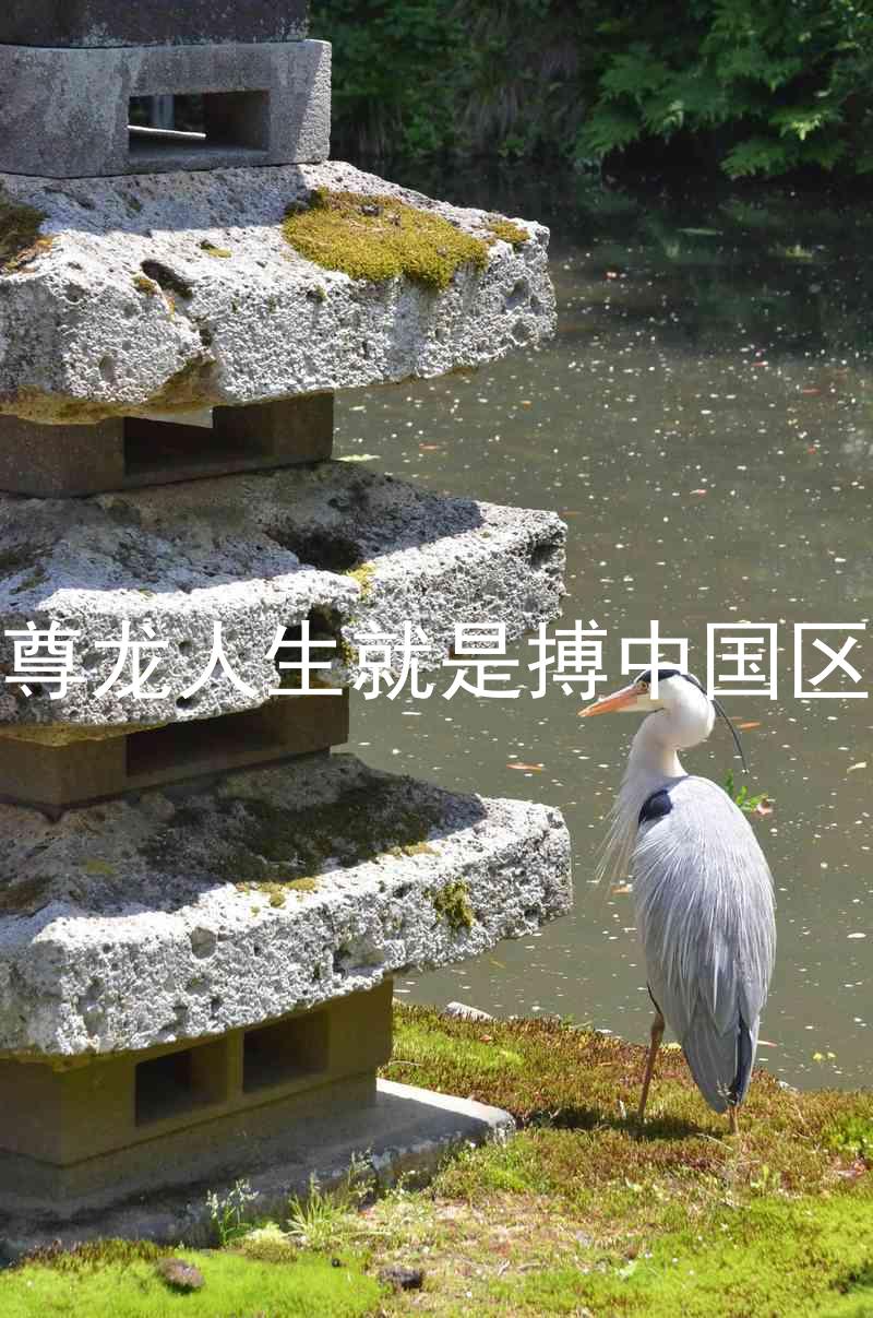 尊龙人生就是搏中国区