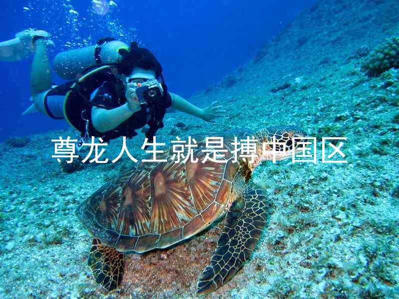 尊龙人生就是搏中国区